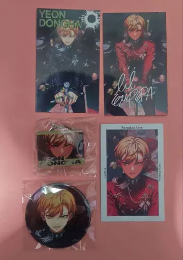 연동하 파라라이