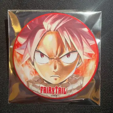 페어리 테일 매트 캔뱃지 페어리 테일 원작 나츠 A