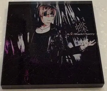 Acid Black Cherry 아크릴 마그넷 시크릿 별 재킷