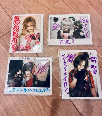 다우트 레이카 빅 폴라로이드