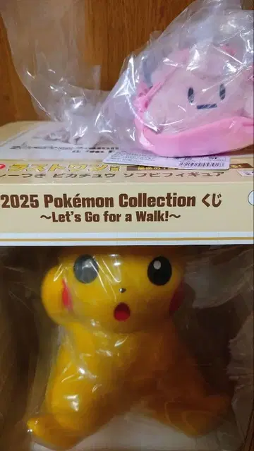 포켓몬 제일복권 라스트 원상 F상 피피 외 세트