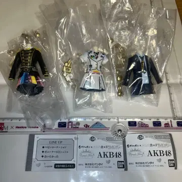 가챠 토르소 마네킹 AKB48 전 3종 컴프 세트입니다.