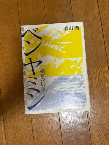 벤야민 매체의 철학 모리타 단 신요샤