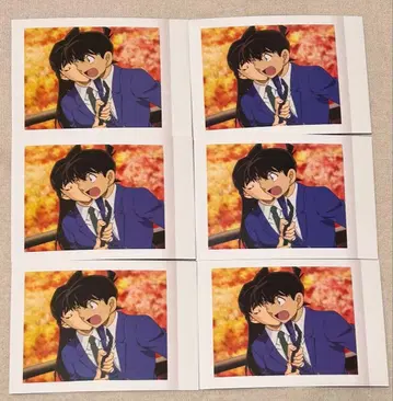 명탐정 코난 파샤코레 수학여행 남도일(쿠도 신이치) 유미란(모리 란)