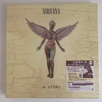 레어 Nirvana In Utero 3CD DVD 일본 국내반