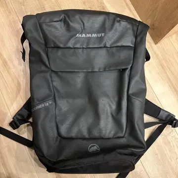 MAMMUT 락쿠리에SE 20L 백팩 마무트