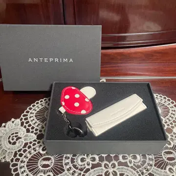 ANTEPRIMA 가죽 잡화 세트