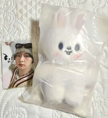 Straykids 본국 팝업 스탠딩 리비트