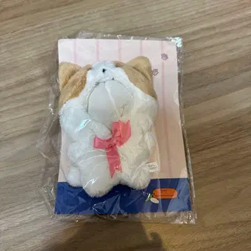 마마무 솔라 생일 굿즈 yong ttung 봉제 인형 옷 갈아입기 파우치