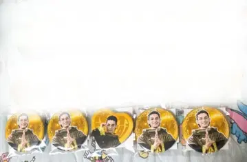 고쥬우쟈 TOS 복권 캔뱃지 폭신룡의 고쥬우티라노 테가소드 2