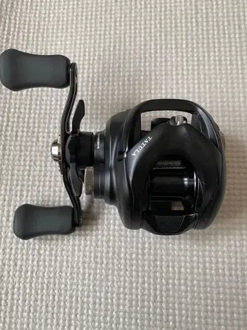 다이와 24 TATULA 100 HL