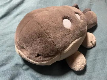 포켓몬 포근포근 안고 자는 봉제 인형 두오