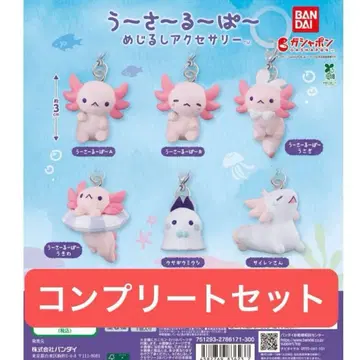 우사루파 메지루시 액세서리 컴플리트