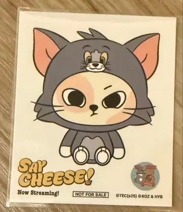 BOYNEXTDOOR 톰제리 스티커