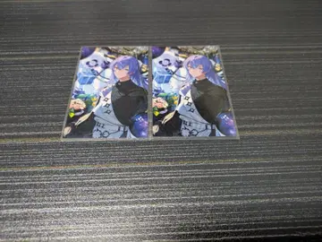 노스탤지어 컬렉션 폴라로이드 별빛 쇼