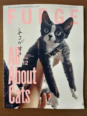 FUDGE 12월호 고양이를 좋아해
