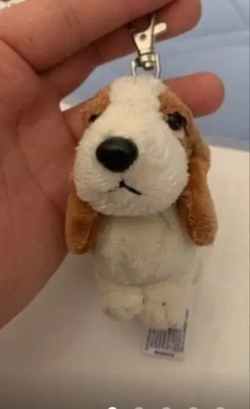 AURORA 비글견 봉제 인형 키링