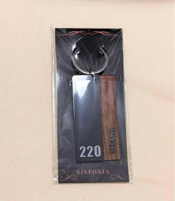 이루마 룸 키링