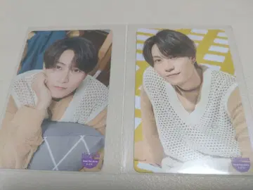 timelesz 트레이딩 카드 하시모토 쇼세이 하라라 요시타카