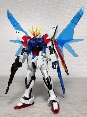 HG 빌드 스트라이크