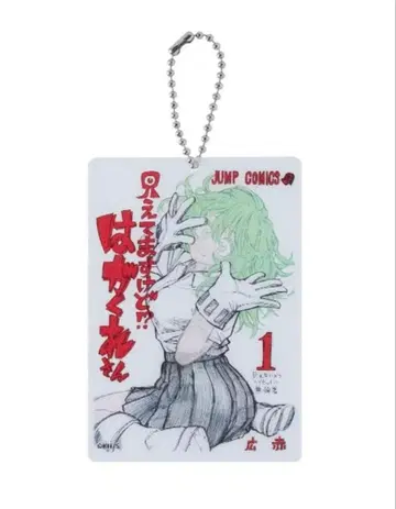 [ 최저가 ] 히로아카 하가쿠레 토오루 인비저블 걸