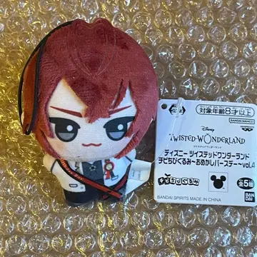 트위스테 SD 인형 리들 남코 한정판 택 포함