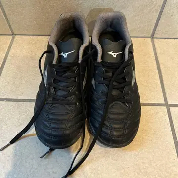 MIZUNO 트레이닝 슈즈 22cm