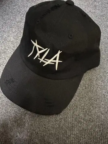 Tyla 내한 공연 캡