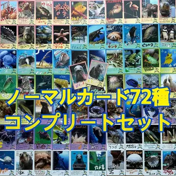 도바 수족관 랏코 컬렉션 카드 토레카 세트