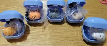 zeroni 니  반지 5종 가챠