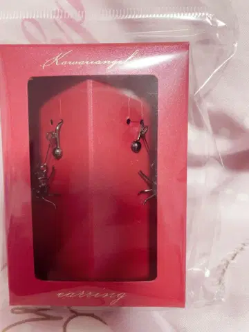 니디가 아메쨩의 귀찌