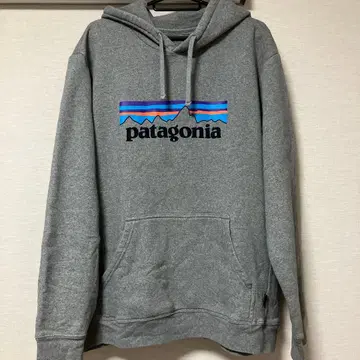 patagonia 로고 업라이저 후디 L 사이즈