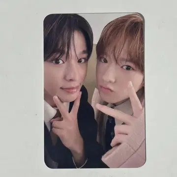 NCTWISH 사쿠야 리쿠 트레이딩 카드 회장 한정판 유닛 케미