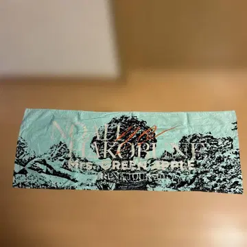 무료배송 Mrs.GreenApple 아레나 투어 타월 새상품급