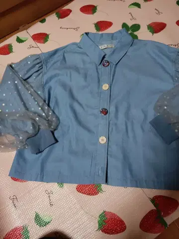 스칼라 스카이블루 시스루 소매 긴팔 셔츠 블라우스