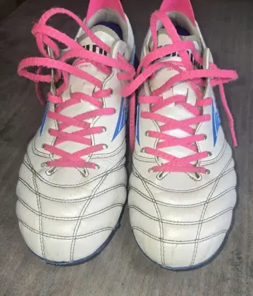 모렐리아 네오 4 레어 24cm