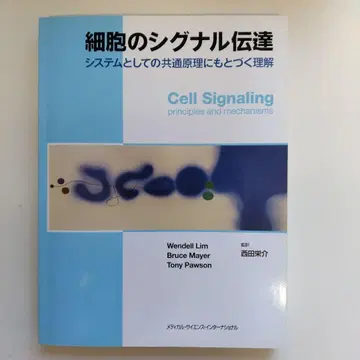 세포의 신호 전달