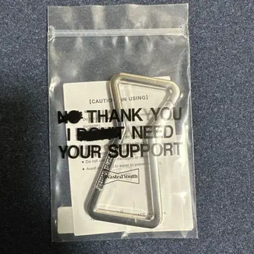 wasted youth 카라비너