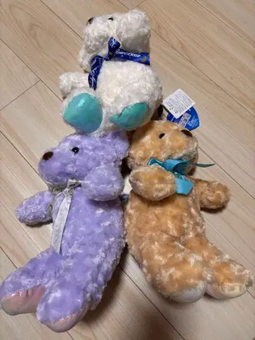 [택 포함 새상품] 러블리 로즈 베어 스타 샤이니 봉제 인형 3종 세트