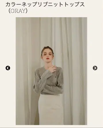 PINUE 컬러 네프 리브 니트탑 그레이