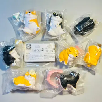 전 8종 컴프 세트 시바구라시 2 가챠가챠