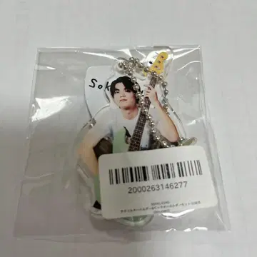 HORIPROACTORS BAND 히나타 와타루 아크릴 키링 피크 포함