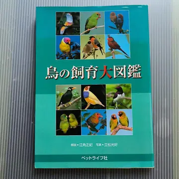 새 키우기 대도감