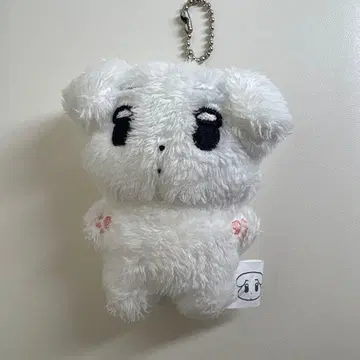 aespa 윈터 마스터 인형 직직이