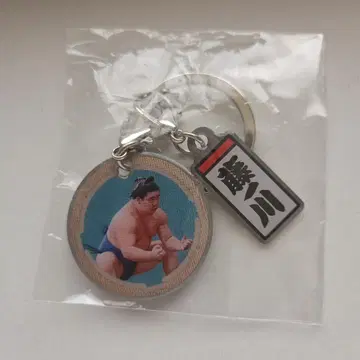 대스모 가챠 후지노가와 세키