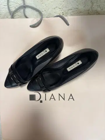 24cm DIANA 블랙 스틸레토 펌프스