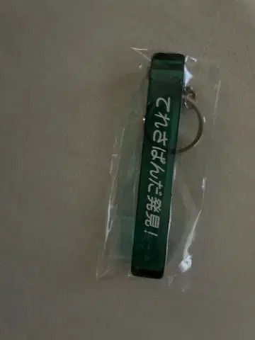 노기자카46 이케다 에레나 Wings 오리의 꿈 룸 키링 미개봉