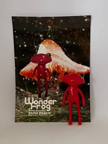 [크리스마스 한정판] 포춘 원더 [시하 디셈버]