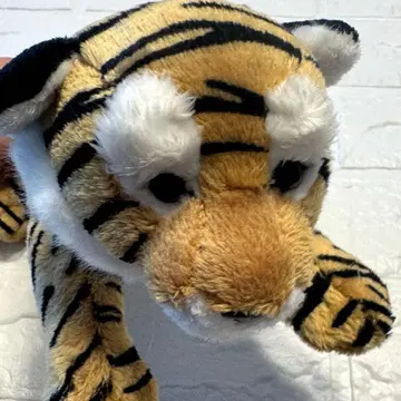 멸종 위기 동물 호랑이