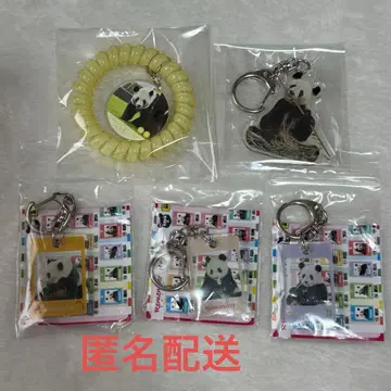 어드벤처 월드 팬더 아크릴 키링 스프링 밴딩